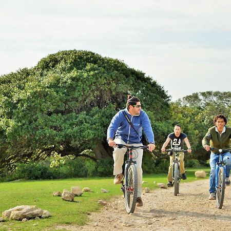 De Hoop Collection - Campsite Rondawels De Hoop Nature Reserve Exteriér fotografie