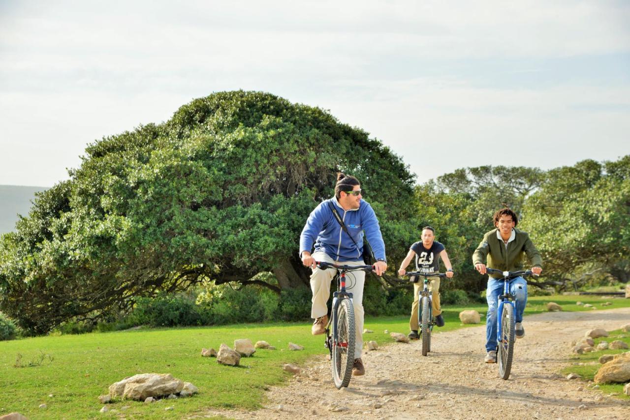 De Hoop Collection - Campsite Rondawels De Hoop Nature Reserve Exteriér fotografie