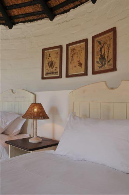 De Hoop Collection - Campsite Rondawels De Hoop Nature Reserve Exteriér fotografie